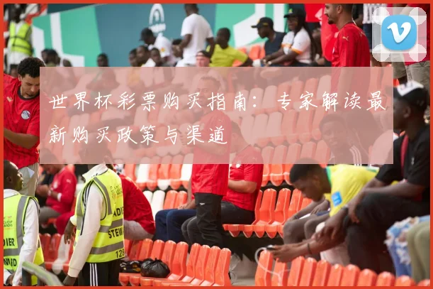 世界杯彩票购买指南：专家解读最新购买政策与渠道
