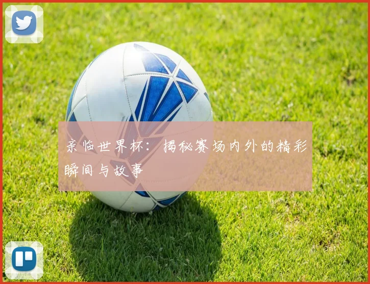 亲临世界杯:揭秘赛场内外的精彩瞬间与故事