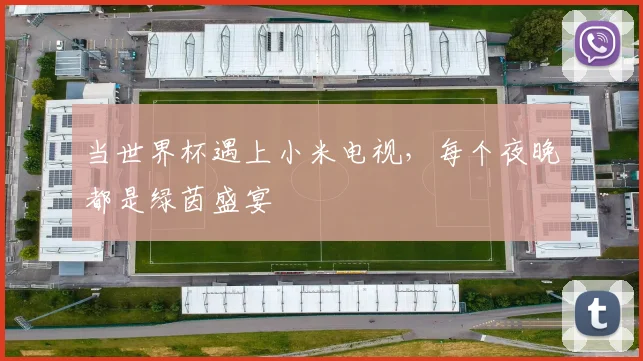 当世界杯遇上小米电视,每个夜晚都是绿茵盛宴