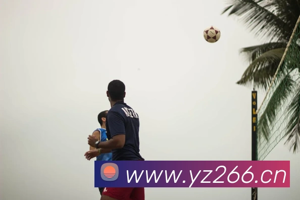 App Interface Preview