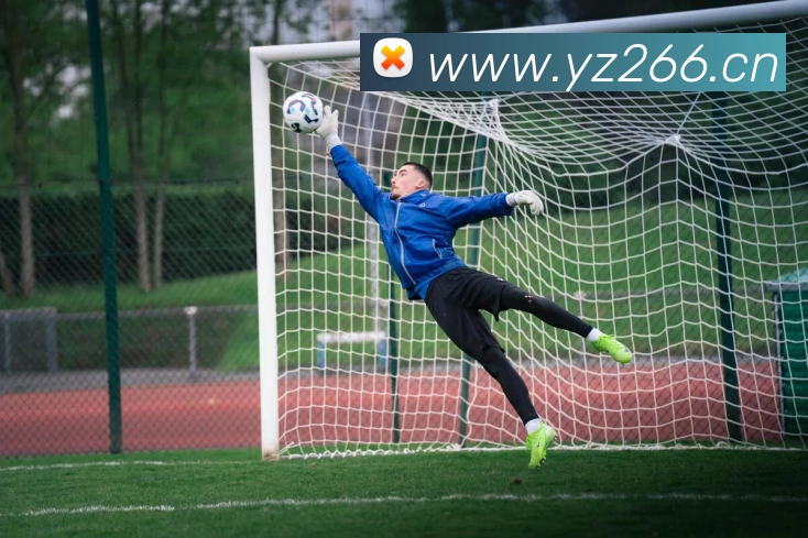 爱游戏官网 首页APP 封面图